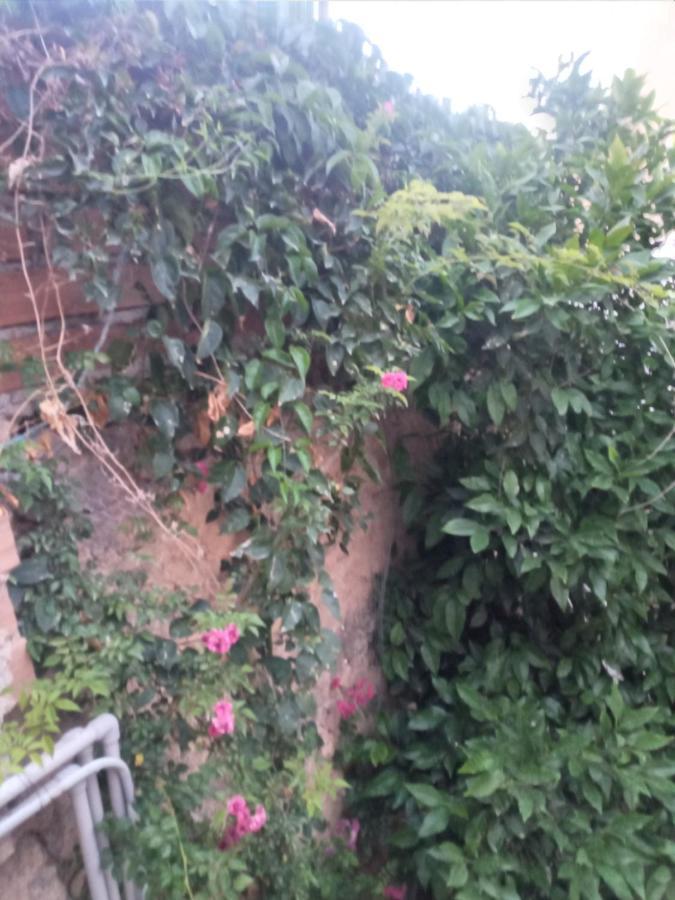 Magic Moon Guest House Famagusta  Ngoại thất bức ảnh