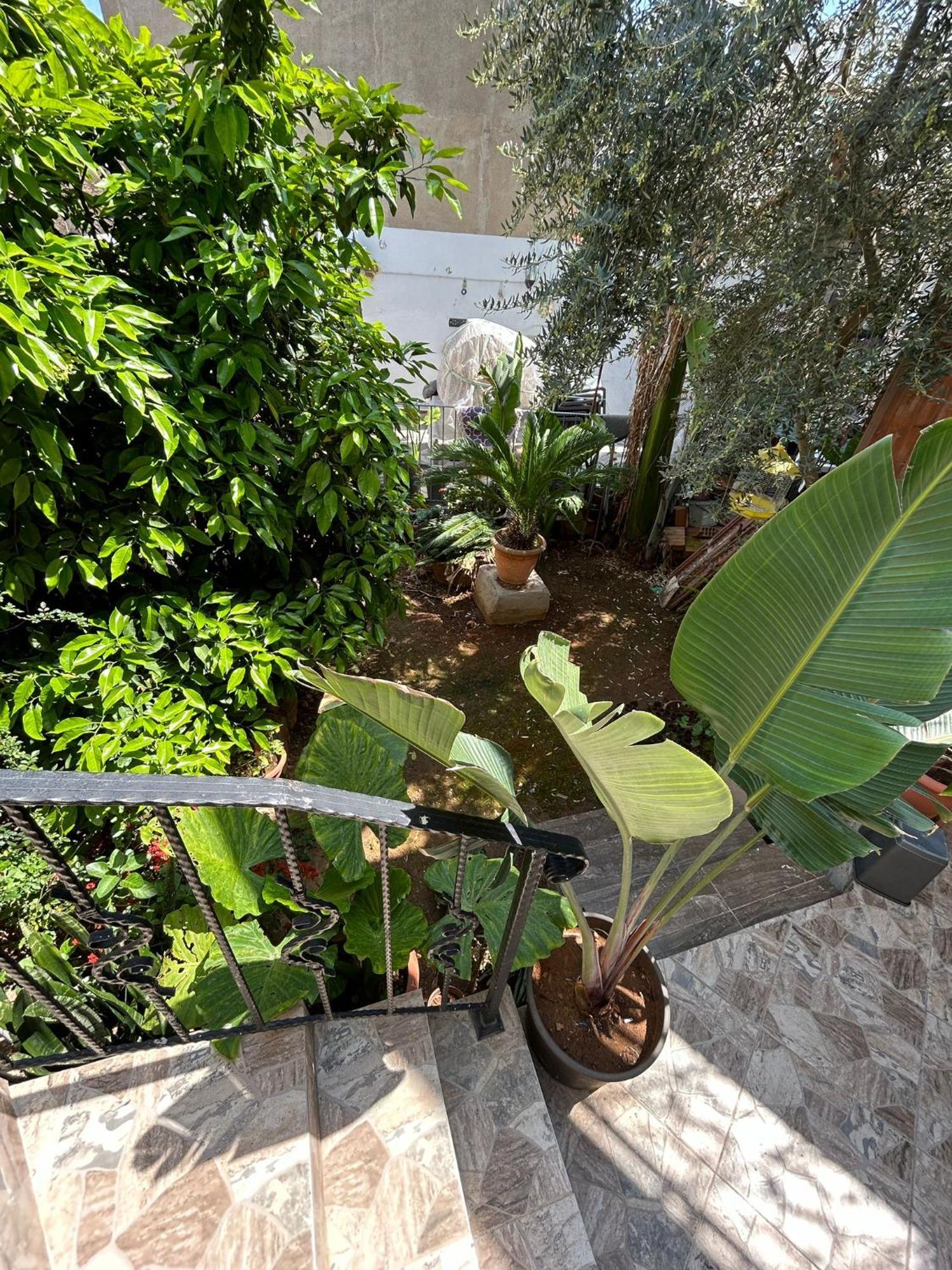Magic Moon Guest House Famagusta  Ngoại thất bức ảnh