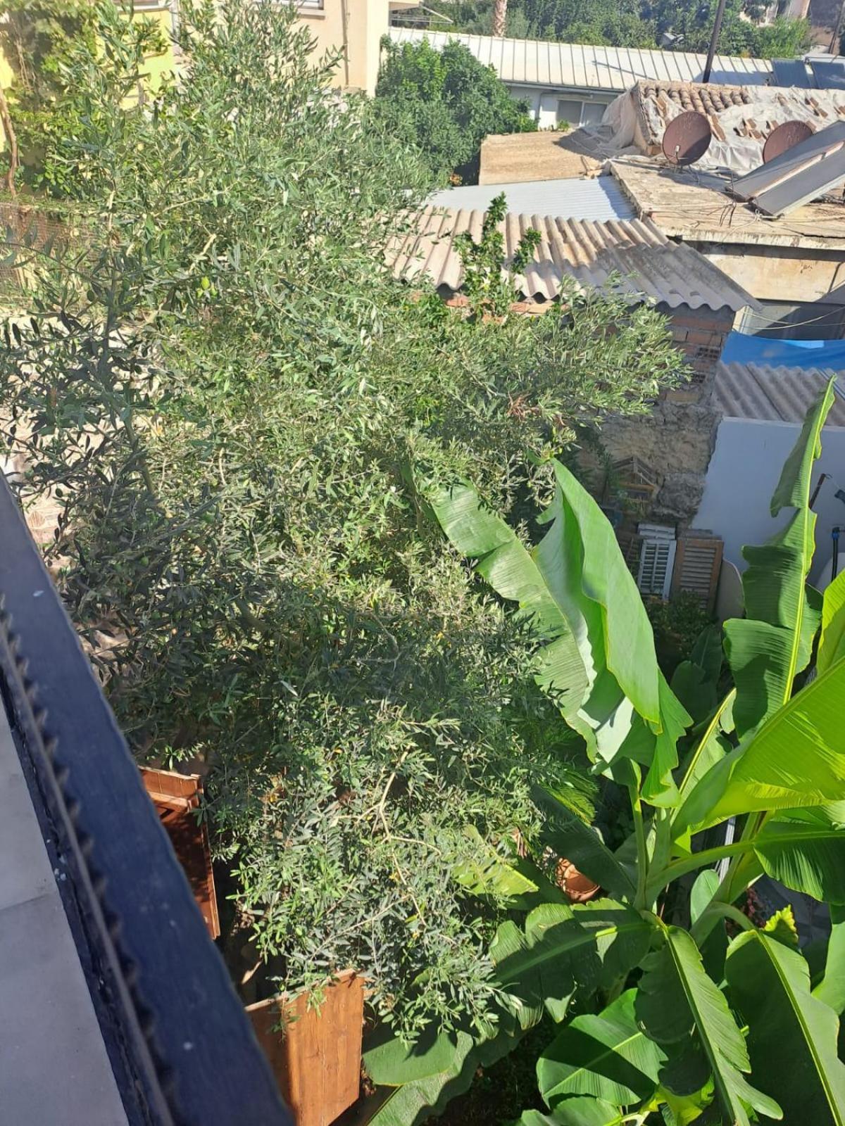 Magic Moon Guest House Famagusta  Ngoại thất bức ảnh