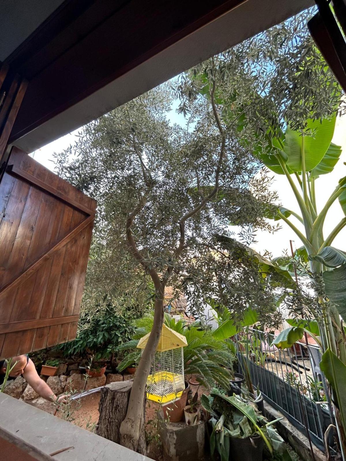 Magic Moon Guest House Famagusta  Ngoại thất bức ảnh