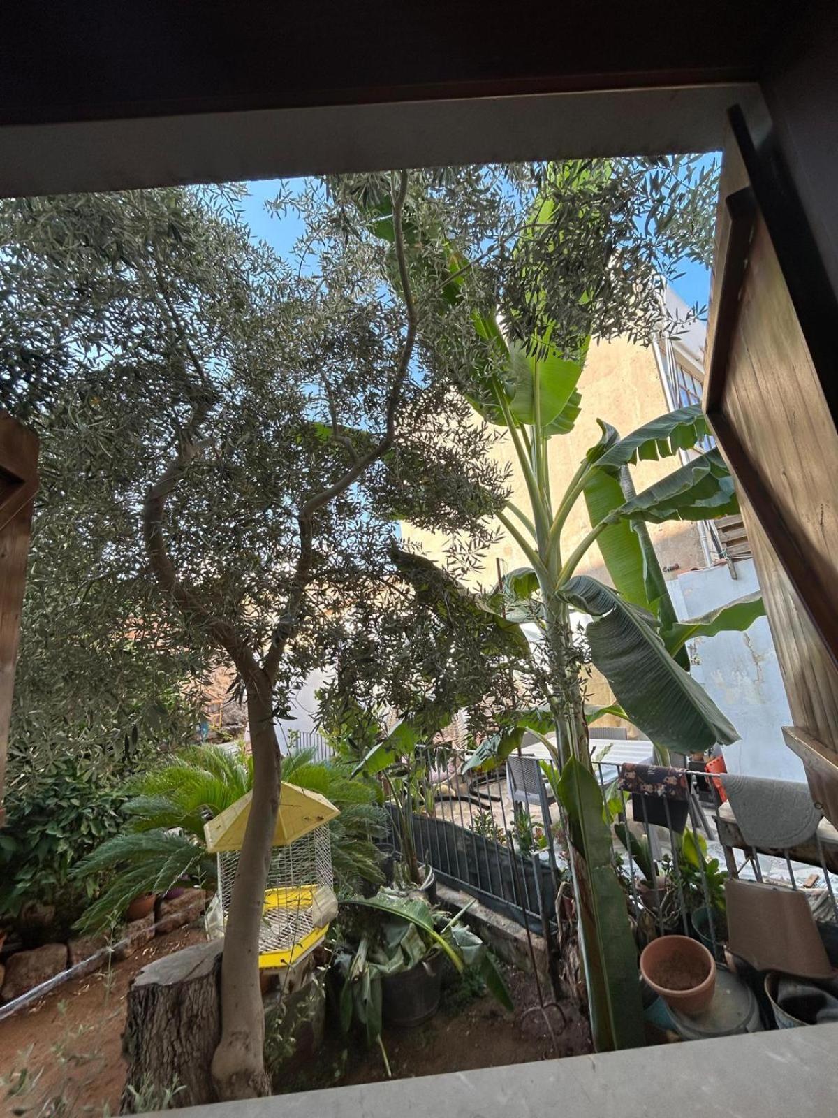 Magic Moon Guest House Famagusta  Ngoại thất bức ảnh